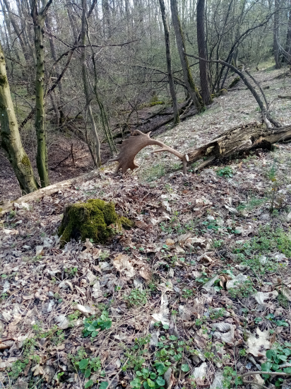 Veľkonočné vajíčko