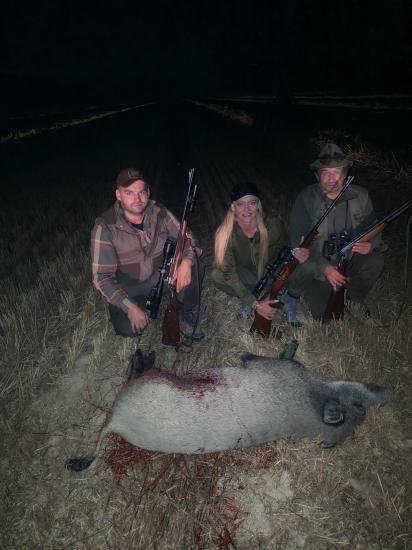 Lanštiak zo strniska