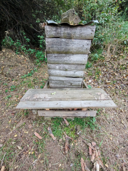 4 rok po sebe z jedného srnca