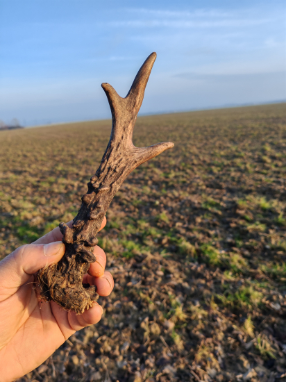 Po dlhšom čase sa zadarilo