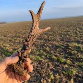 Po dlhšom čase sa zadarilo