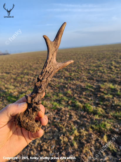 Po dlhšom čase sa zadarilo