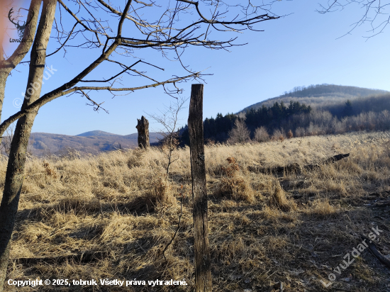 Planina
