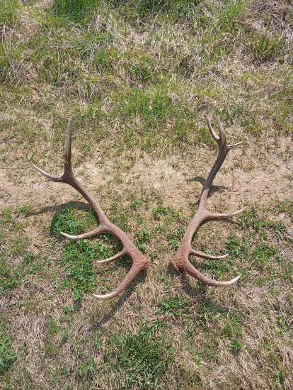 Veľkonočný pondelok