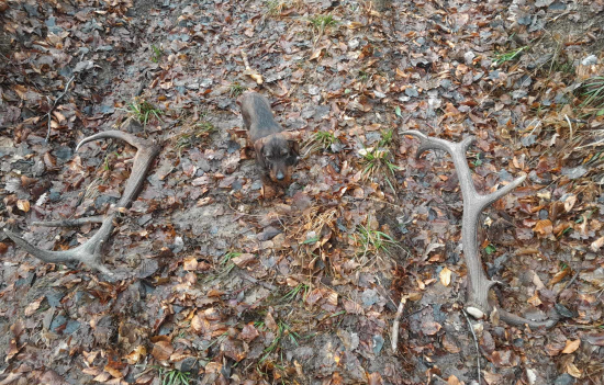 Odložené na ceste...