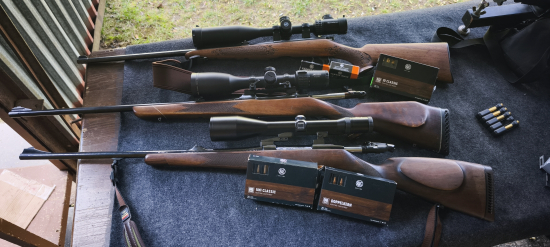 Nastrelenie , preverenie, tréning