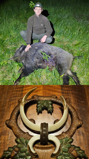 Kanček