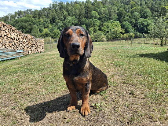 Kasper