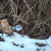 Zahájenie sezóny 2026