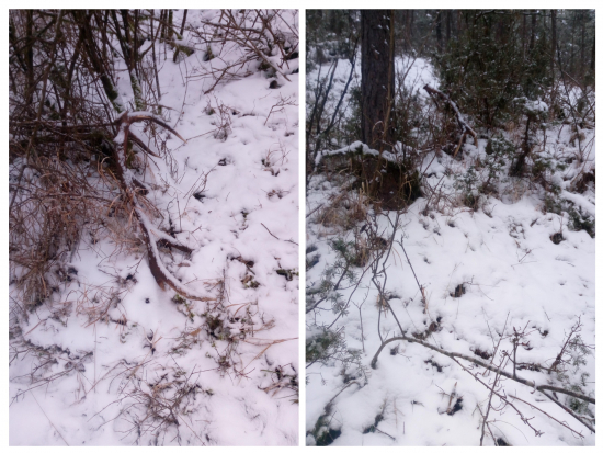 Dva zábery z jedného miesta