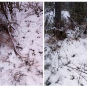 Dva zábery z jedného miesta