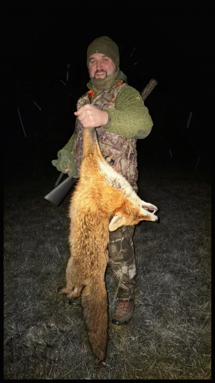 4 vychádzky, 4 výstrely, 4 líšky