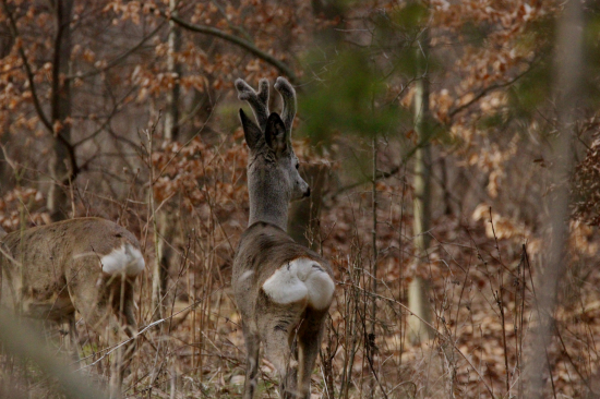 Nechcel sa veľmi fotiť...