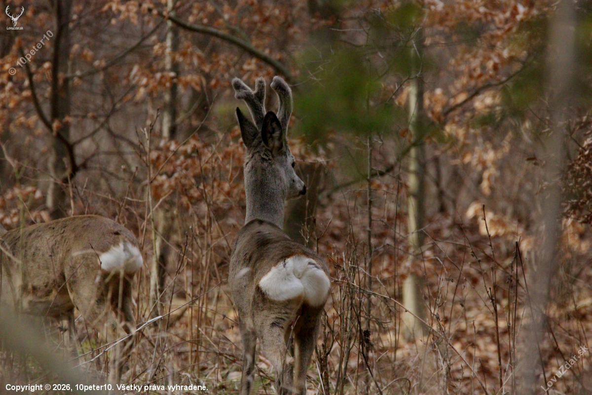 Nechcel sa veľmi fotiť...