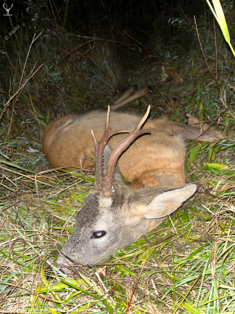 Septembrový