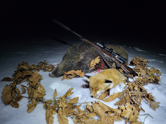 Najprv líška potom lanštiak