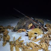 Najprv líška potom lanštiak