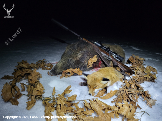 Najprv líška potom lanštiak