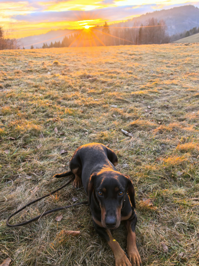 moja slečna - 18 mesiacov