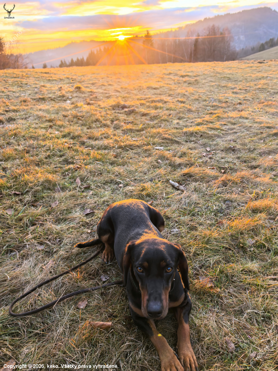 moja slečna - 18 mesiacov
