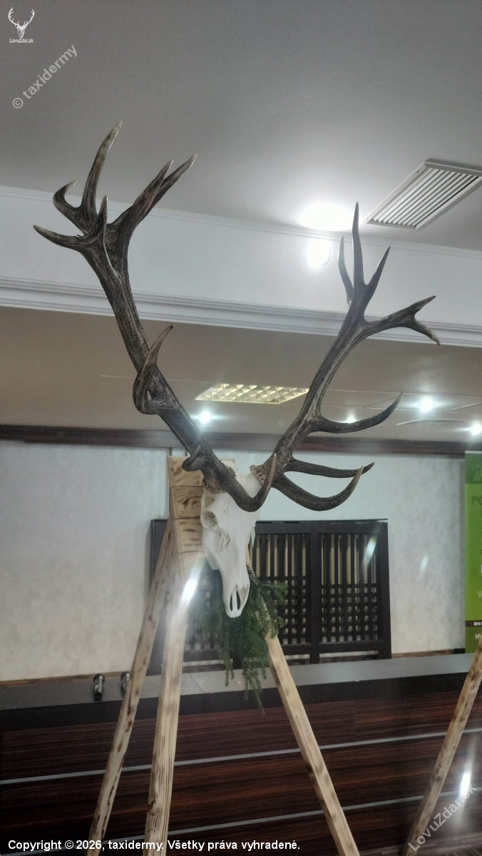 Vychodňar 243,40 cic