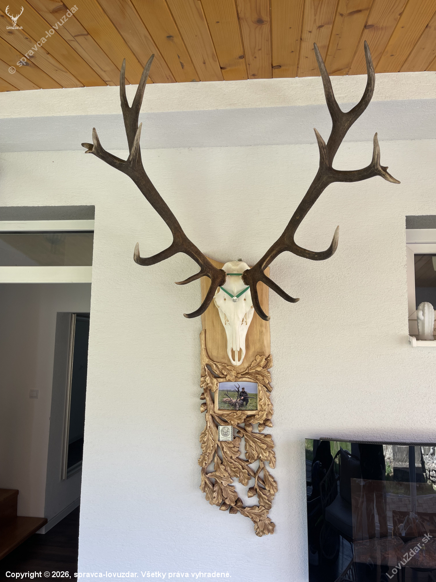 Ďakujem za pekný darček