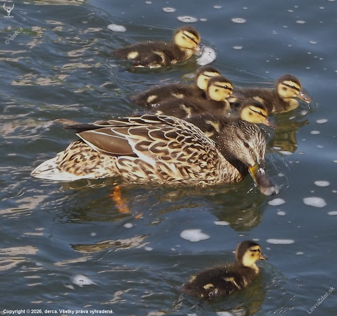Vždy pod kontrolou mámy