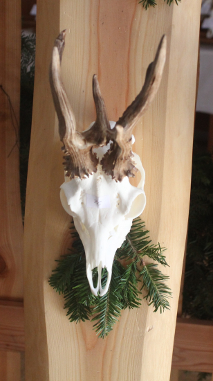 Výstava trofejí
