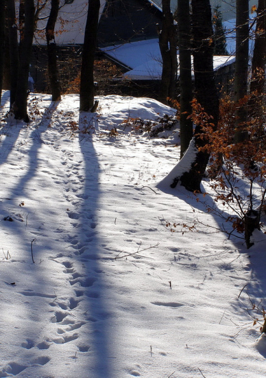 čas dlhých tieňov