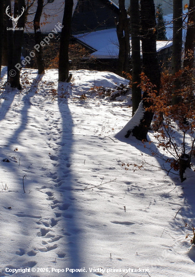 čas dlhých tieňov