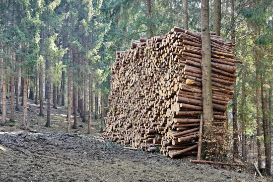 zima ešte neskončila