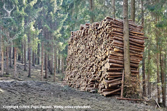 zima ešte neskončila