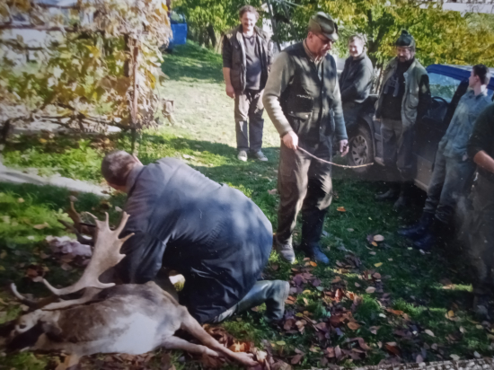 Prvý ostane prvý...
