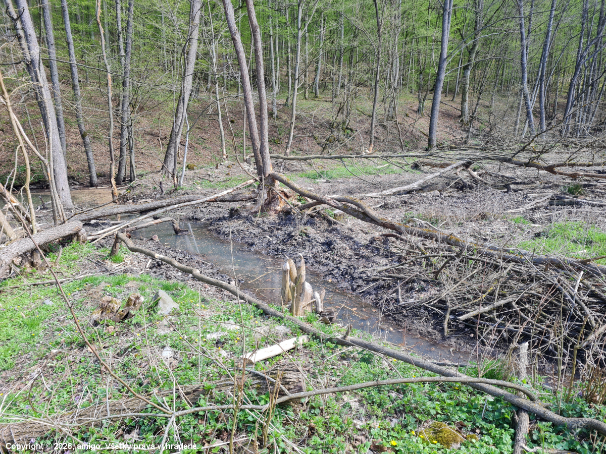 vrátili sa už aj k nám a tvrdo makajú...
