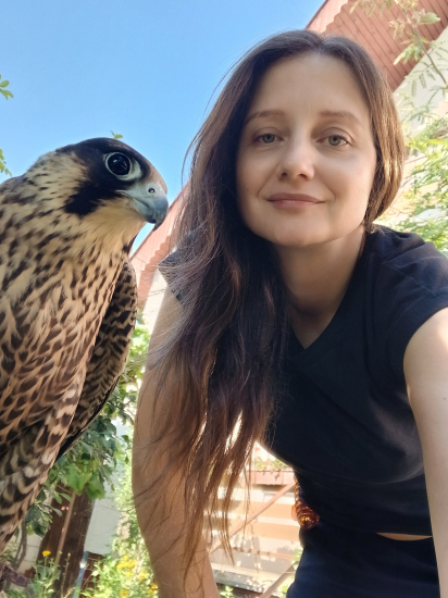 Spomienka na sokoliarku.