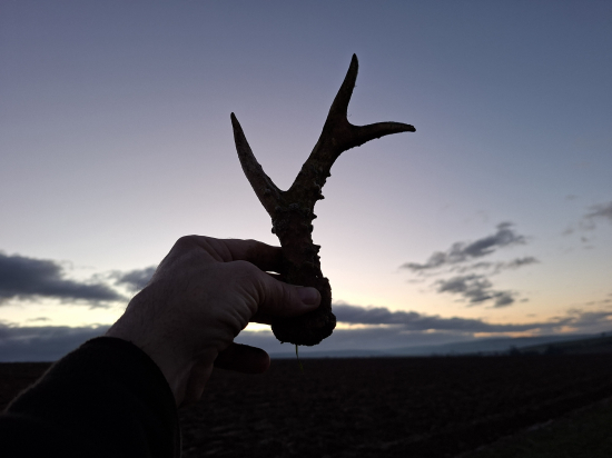 Poslední v roce 2025.