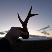 Poslední v roce 2025.