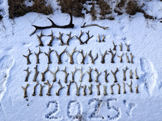 Sezona jaro-podzim 2025