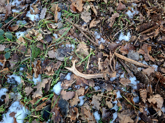 Sezona 2026 zahájena.