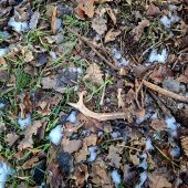 Sezona 2026 zahájena.