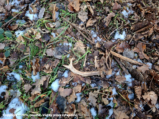 Sezona 2026 zahájena.