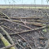 Slušný šesterák.