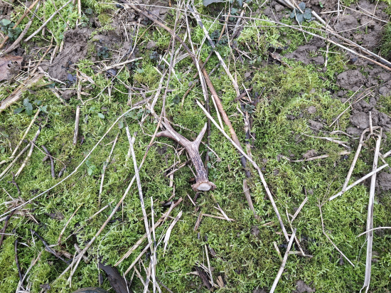 Číslo 777 jak se patří.