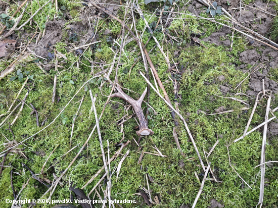 Číslo 777 jak se patří.