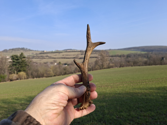 Po třech hodinách.