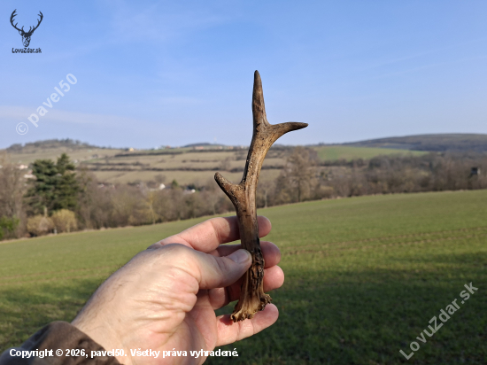Po třech hodinách.