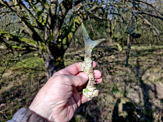 Po 5 hodinách cena útěchy.