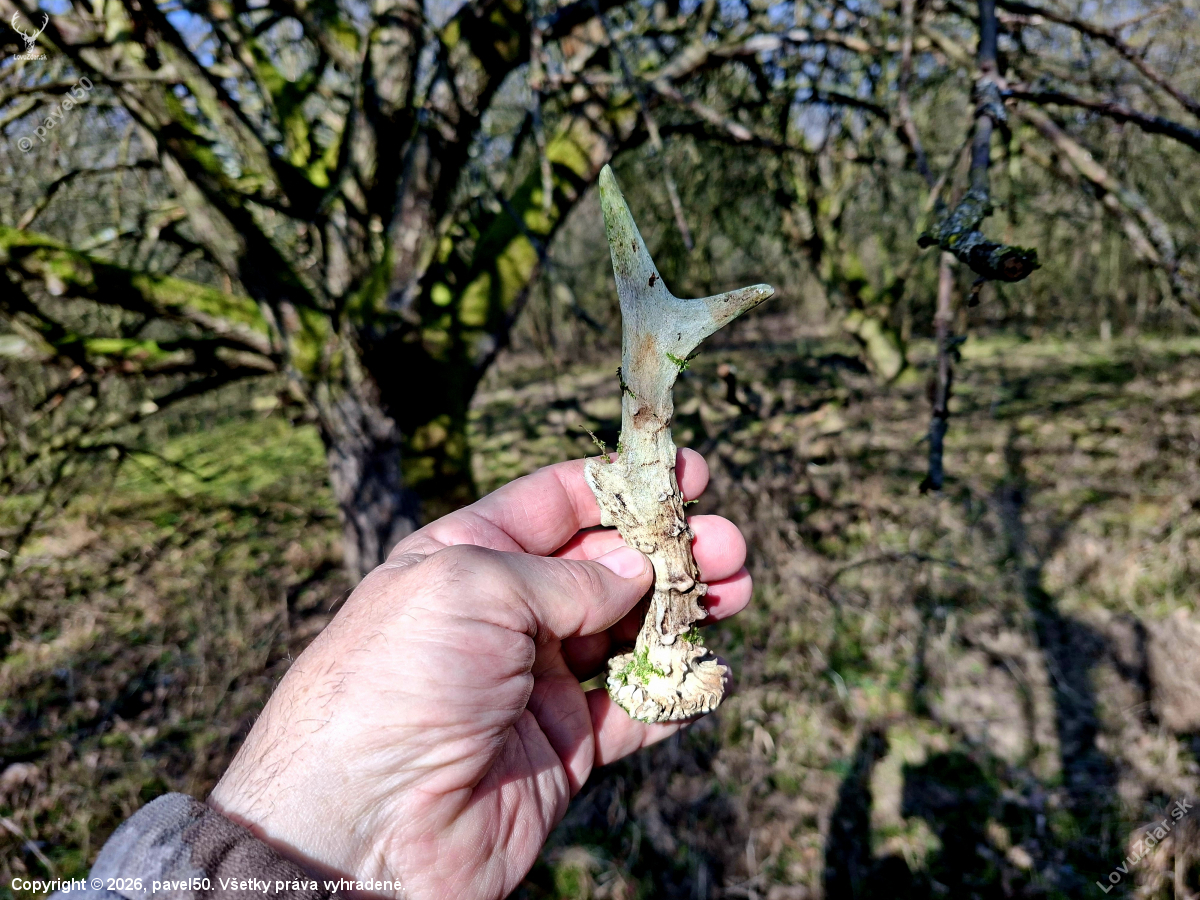 Po 5 hodinách cena útěchy.