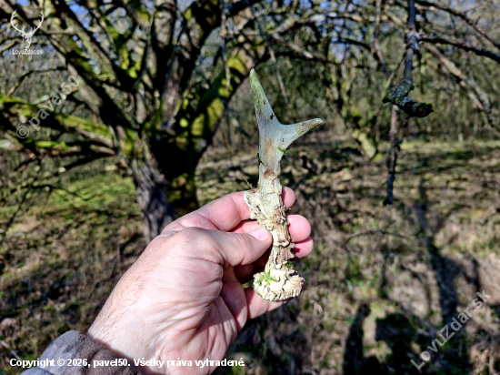 Po 5 hodinách cena útěchy.