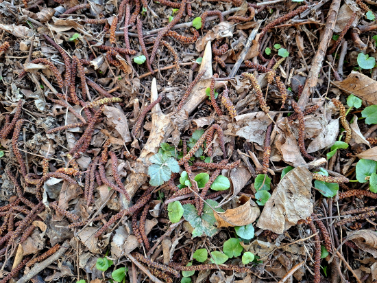 Málem jsem ho poonďal ;-)))